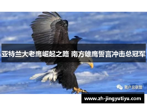 亚特兰大老鹰崛起之路 南方雄鹰誓言冲击总冠军